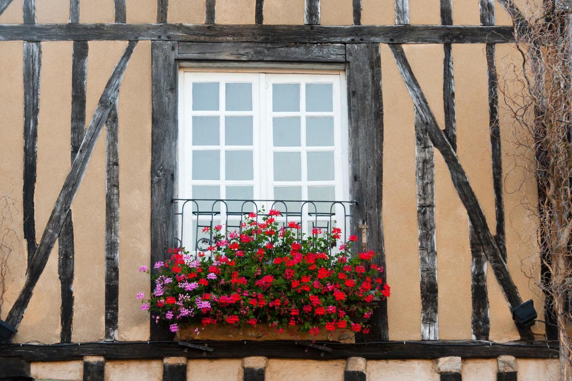 Chambres D'Hote - Maison Des Ecrivains - 50 M De La Cathedrale Et Place Des Jacobins ルマン エクステリア 写真